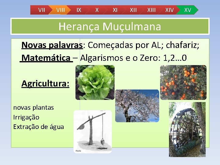 VII VIII IX X XI XIII XIV XV Herança Muçulmana Novas palavras: Começadas por VII VIII IX X XI XIII XIV XV Herança Muçulmana Novas palavras: Começadas por