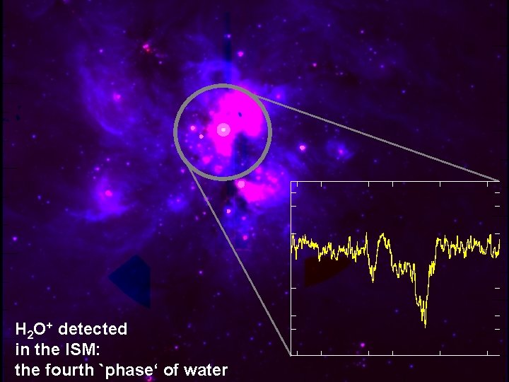 H 2 O+ detected in the ISM: the fourth `phase‘ of water 