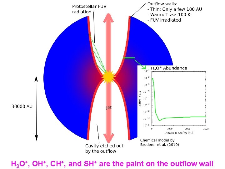 H 2 O+, OH+, CH+, and SH+ are the paint on the outflow wall