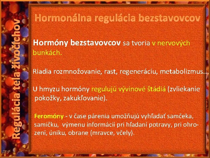Regulácia tela živočíchov Hormonálna regulácia bezstavovcov Hormóny bezstavovcov sa tvoria v nervových bunkách. Riadia Regulácia tela živočíchov Hormonálna regulácia bezstavovcov Hormóny bezstavovcov sa tvoria v nervových bunkách. Riadia