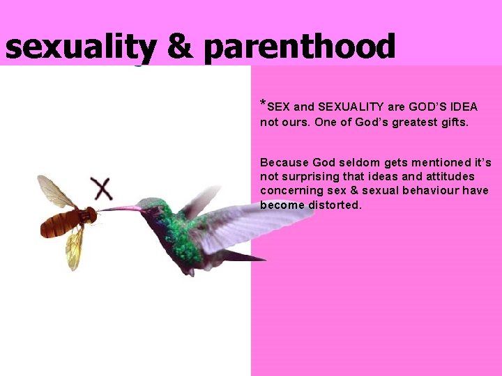 sexuality & parenthood *SEX and SEXUALITY are GOD’S IDEA not ours. One of God’s