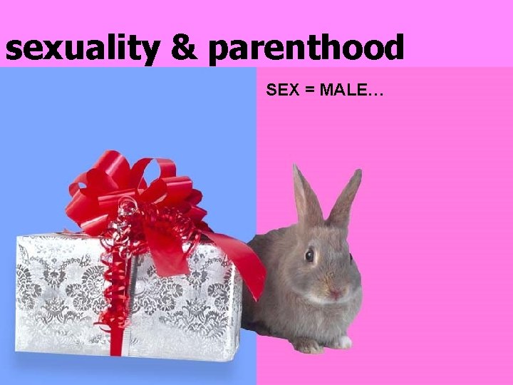 sexuality & parenthood SEX = MALE… 