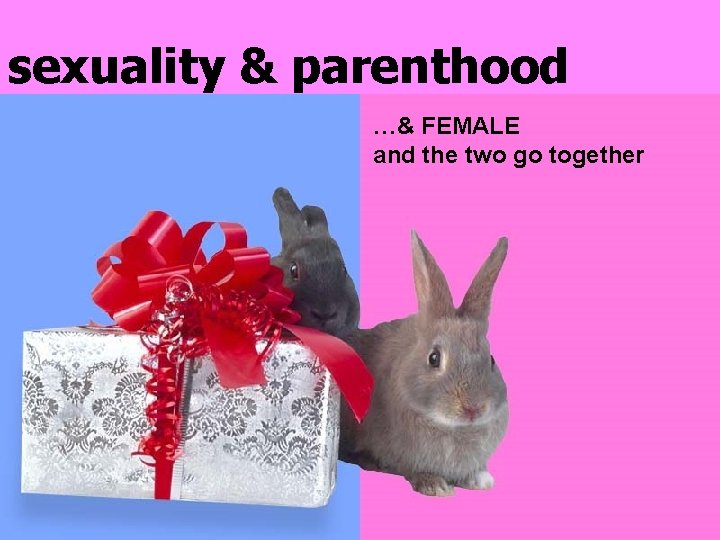 sexuality & parenthood …& FEMALE and the two go together 