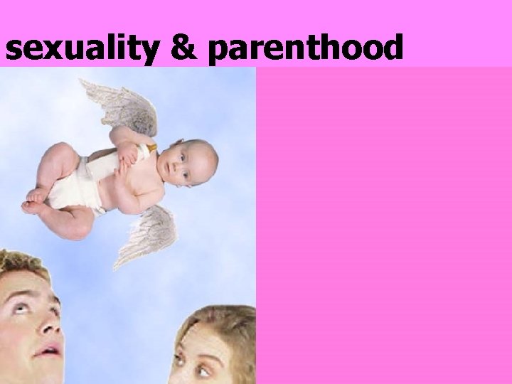 sexuality & parenthood 