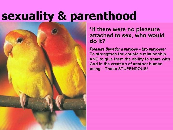 sexuality & parenthood *If there were no pleasure attached to sex, who would do