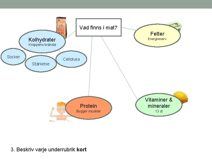 Vad finns i mat? Fetter Kolhydrater Energireserv Kroppens bränsle Socker Cellolusa Stärkelse Protein Vitaminer