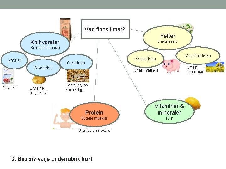 Vad finns i mat? Fetter Kolhydrater Energireserv Kroppens bränsle Socker Cellolusa Stärkelse Onyttigt Bryts