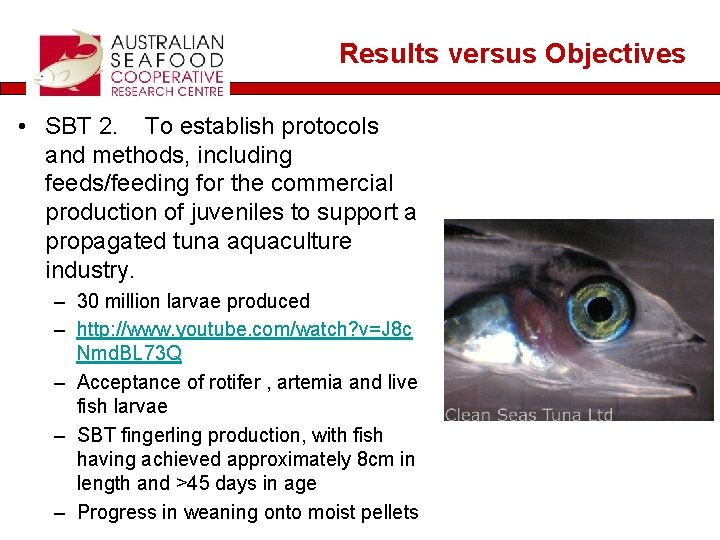 Results versus Objectives • SBT 2. To establish protocols and methods, including feeds/feeding for