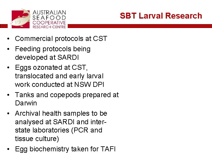 SBT Larval Research • Commercial protocols at CST • Feeding protocols being developed at