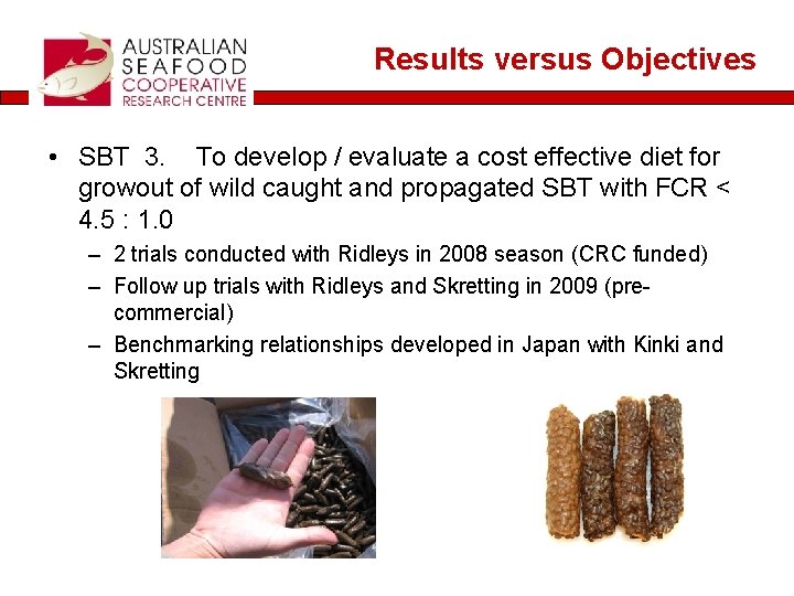 Results versus Objectives • SBT 3. To develop / evaluate a cost effective diet