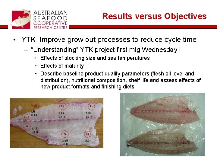 Results versus Objectives • YTK Improve grow out processes to reduce cycle time –