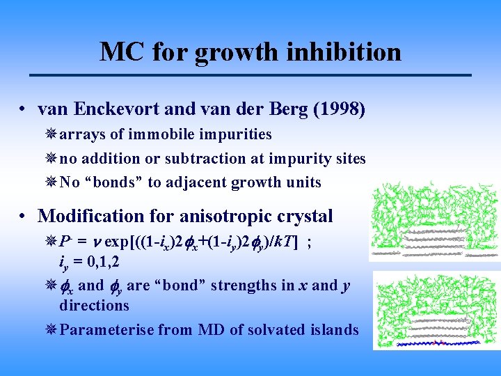 MC for growth inhibition • van Enckevort and van der Berg (1998) ¯arrays of