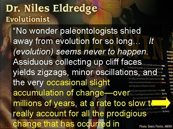 “No wonder paleontologists shied away from evolution for so long… It (evolution) seems never