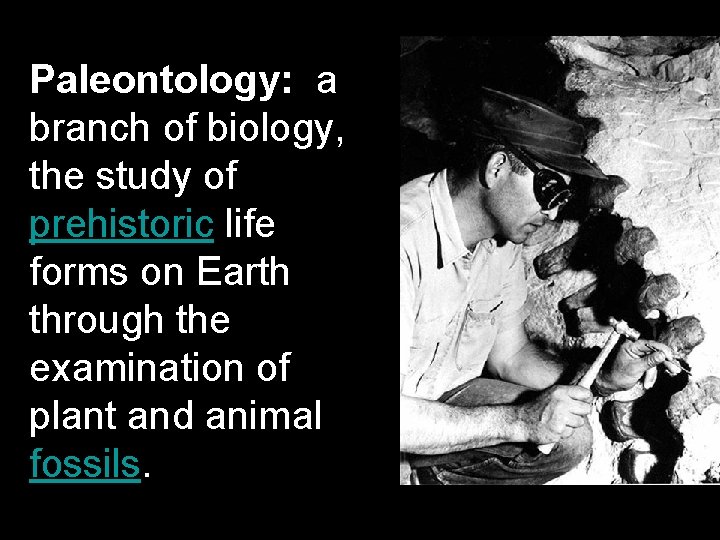 Paleontology: a branch of biology, the study of prehistoric life forms on Earth through