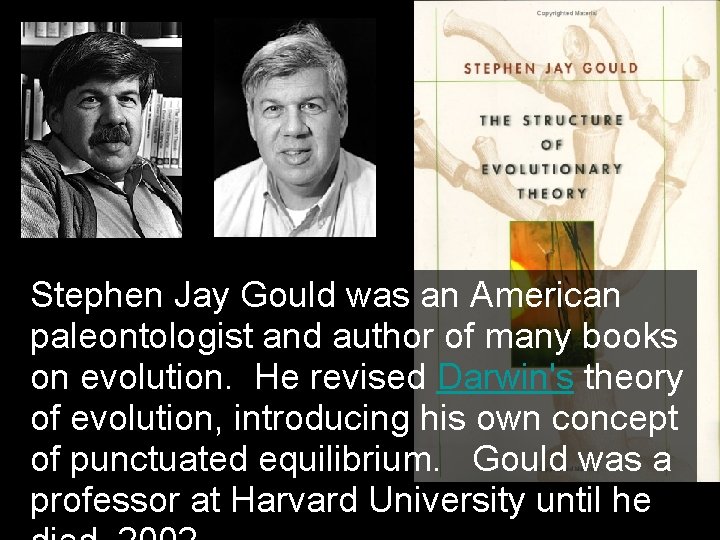 Stephen Jay Gould was an American paleontologist and author of many books on evolution.