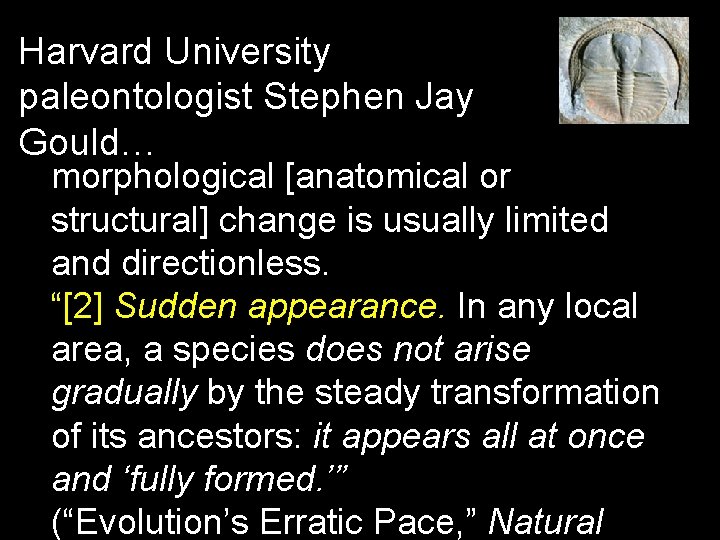 Harvard University paleontologist Stephen Jay Gould… morphological [anatomical or structural] change is usually limited