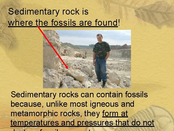 Sedimentary rock is where the fossils are found! Sedimentary rocks can contain fossils because,