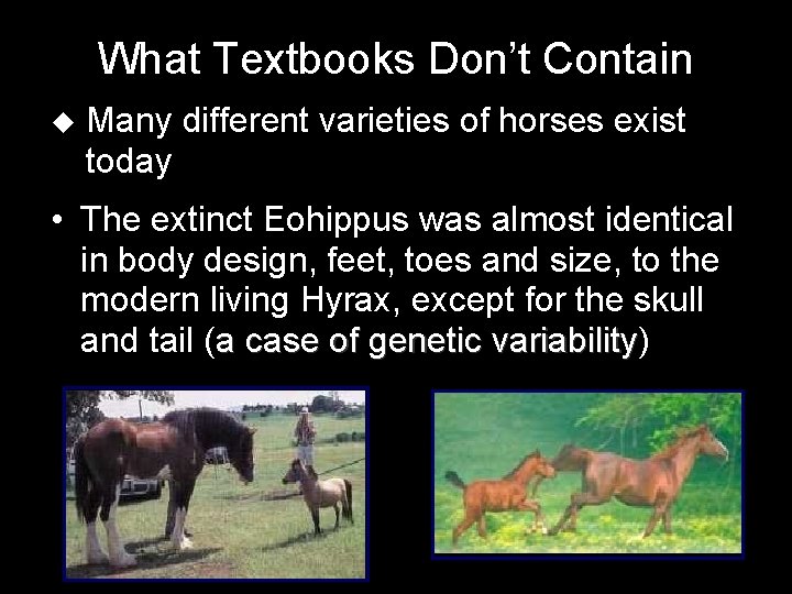 What Textbooks Don’t Contain u Many different varieties of horses exist today • The