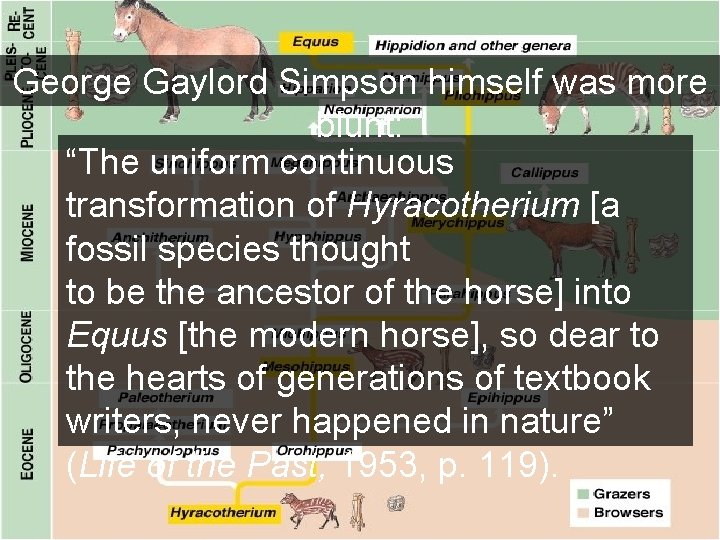 George Gaylord Simpson himself was more blunt: “The uniform continuous transformation of Hyracotherium [a