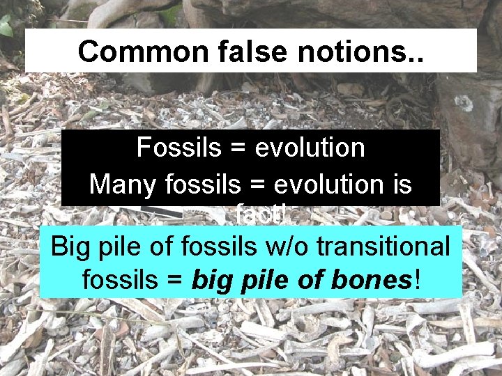 Common false notions. . Fossils = evolution Many fossils = evolution is fact! Big