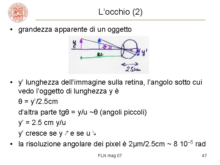 L’occhio (2) • grandezza apparente di un oggetto • y’ lunghezza dell’immagine sulla retina,