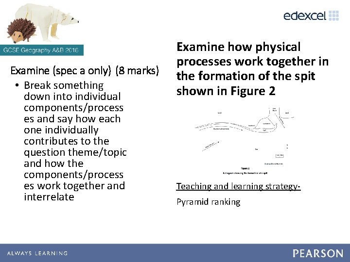 Examine (spec a only) (8 marks) • Break something down into individual components/process es Examine (spec a only) (8 marks) • Break something down into individual components/process es
