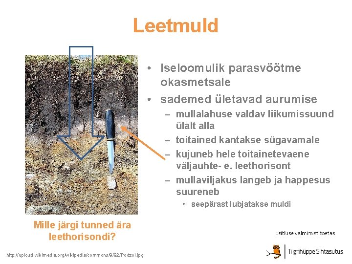 Leetmuld • Iseloomulik parasvöötme okasmetsale • sademed ületavad aurumise – mullalahuse valdav liikumissuund ülalt