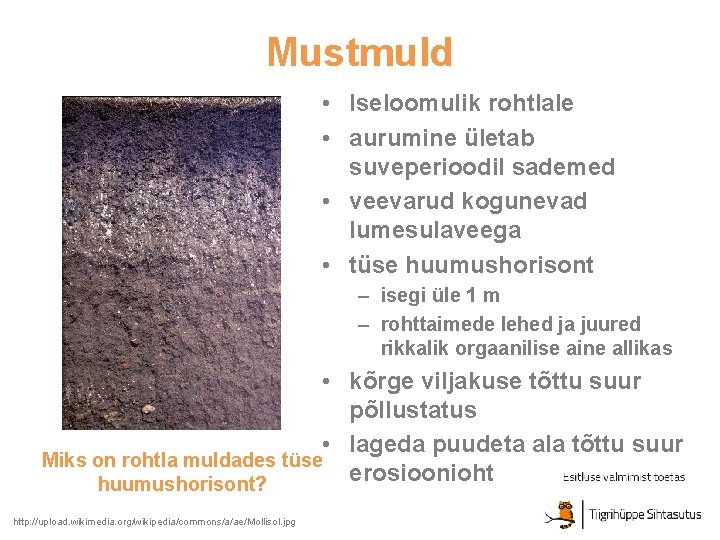 Mustmuld • Iseloomulik rohtlale • aurumine ületab suveperioodil sademed • veevarud kogunevad lumesulaveega •