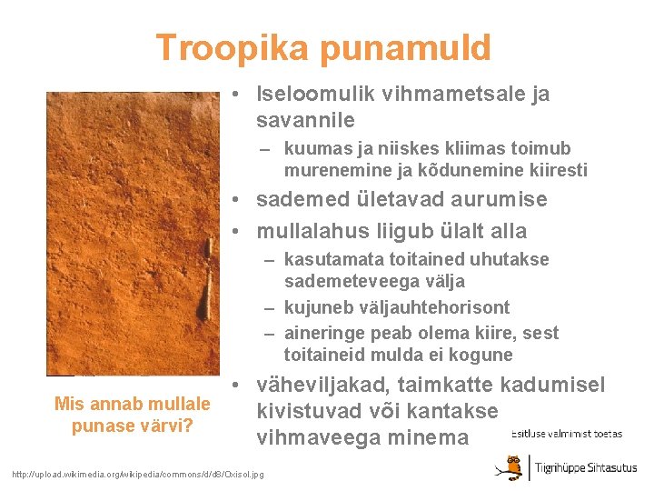 Troopika punamuld • Iseloomulik vihmametsale ja savannile – kuumas ja niiskes kliimas toimub murenemine