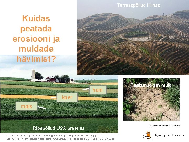 Terrasspõllud Hiinas Kuidas peatada erosiooni ja muldade hävimist? hein kaer mais Ribapõllud USA preerias
