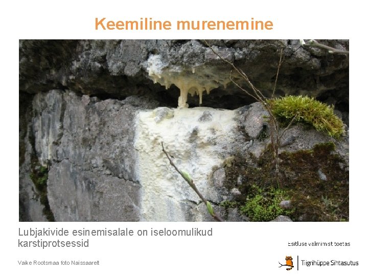 Keemiline murenemine Lubjakivide esinemisalale on iseloomulikud karstiprotsessid Vaike Rootsmaa foto Naissaarelt 