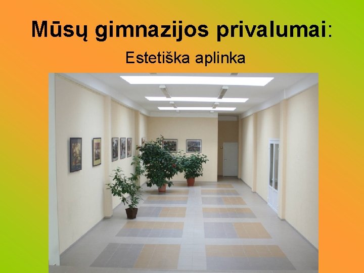 Mūsų gimnazijos privalumai: Estetiška aplinka 