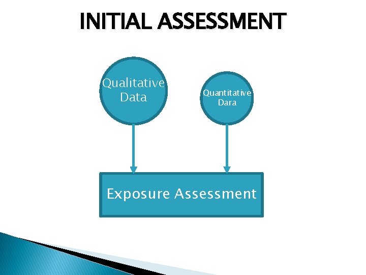 INITIAL ASSESSMENT Qualitative Data Quantitative Dara Exposure Assessment 