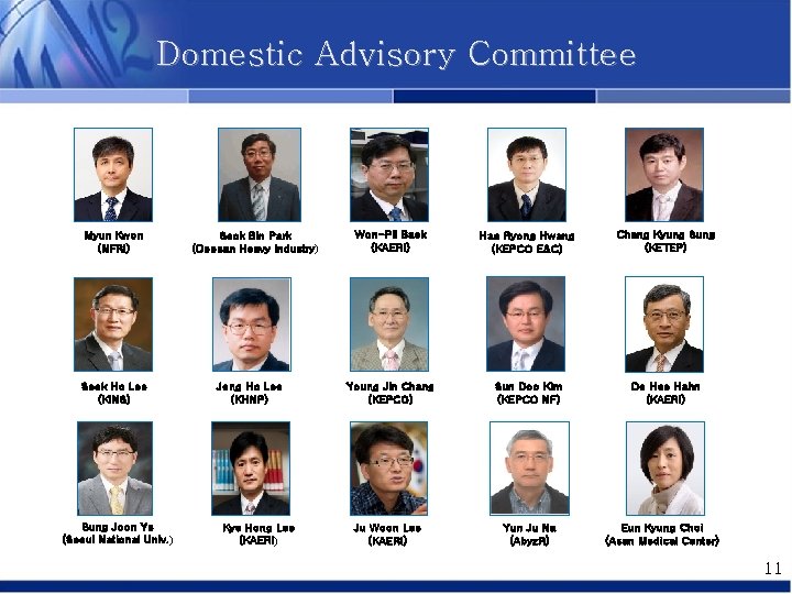 Domestic Advisory Committee Myun Kwon (NFRI) Seok Ho Lee (KINS) Sung Joon Ye (Seoul