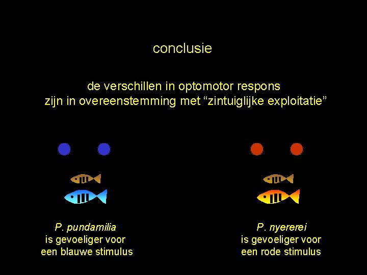 conclusie de verschillen in optomotor respons zijn in overeenstemming met “zintuiglijke exploitatie” P. pundamilia