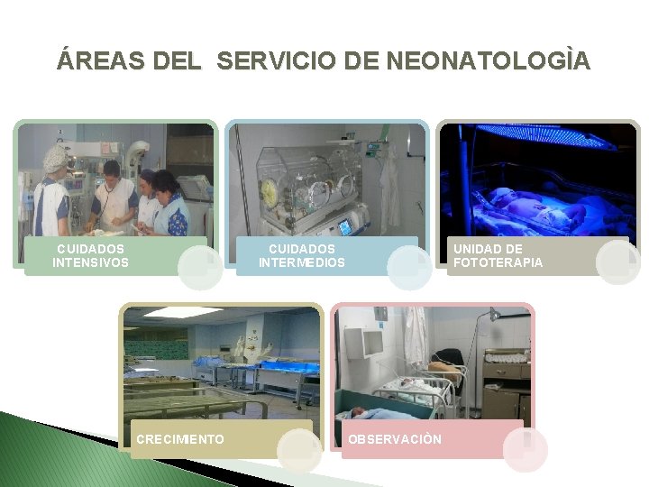 ÁREAS DEL SERVICIO DE NEONATOLOGÌA CUIDADOS INTENSIVOS CUIDADOS INTERMEDIOS CRECIMIENTO UNIDAD DE FOTOTERAPIA OBSERVACIÒN