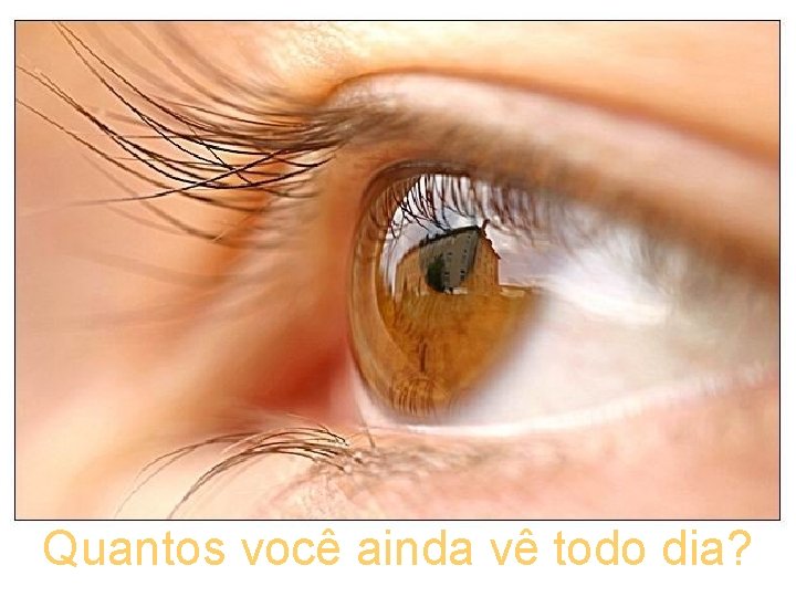 Quantos você ainda vê todo dia? 