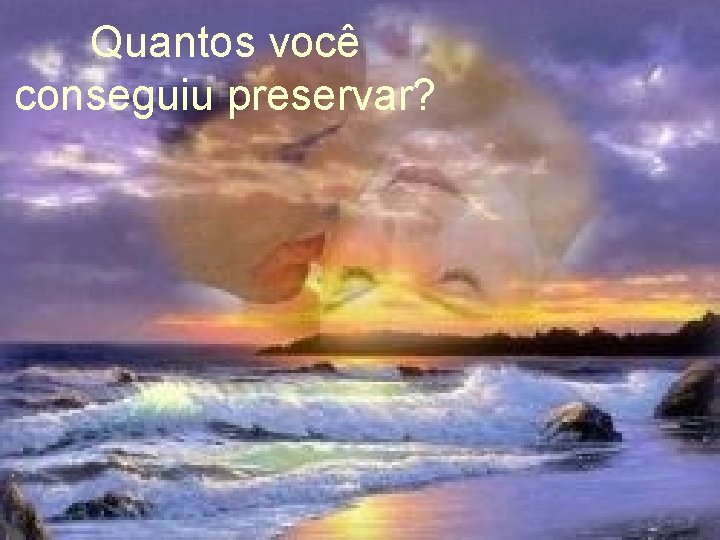 Quantos você conseguiu preservar? 