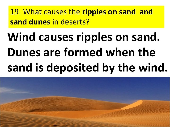 19. What causes the ripples on sand dunes in deserts? Wind causes ripples on