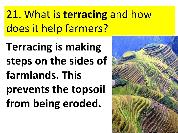 21. What is terracing and how does it help farmers? Terracing is making steps