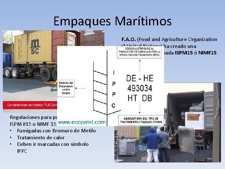 Empaques Marítimos F. A. O. (Food and Agriculture Organization of United Nations) ha creado