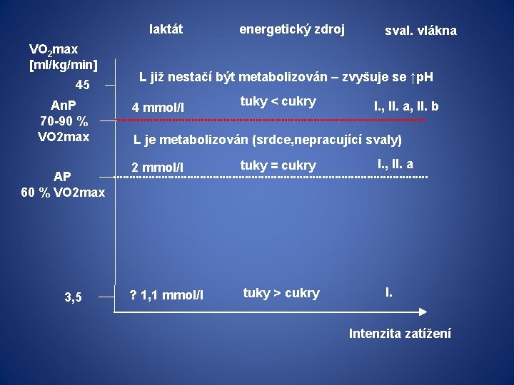 laktát VO 2 max [ml/kg/min] 45 An. P 70 -90 % VO 2 max