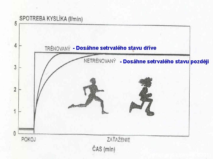 - Dosáhne setrvalého stavu dříve - Dosáhne setrvalého stavu později (Hamar & Lipková, 2001)