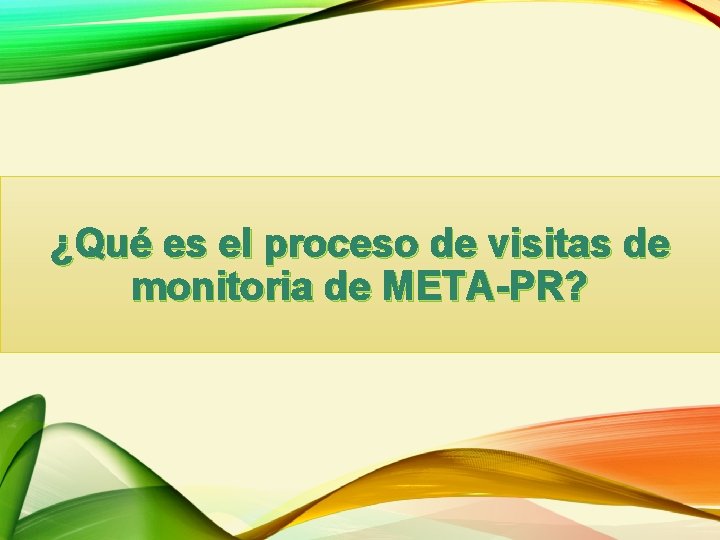 ¿Qué es el proceso de visitas de monitoria de META-PR? 