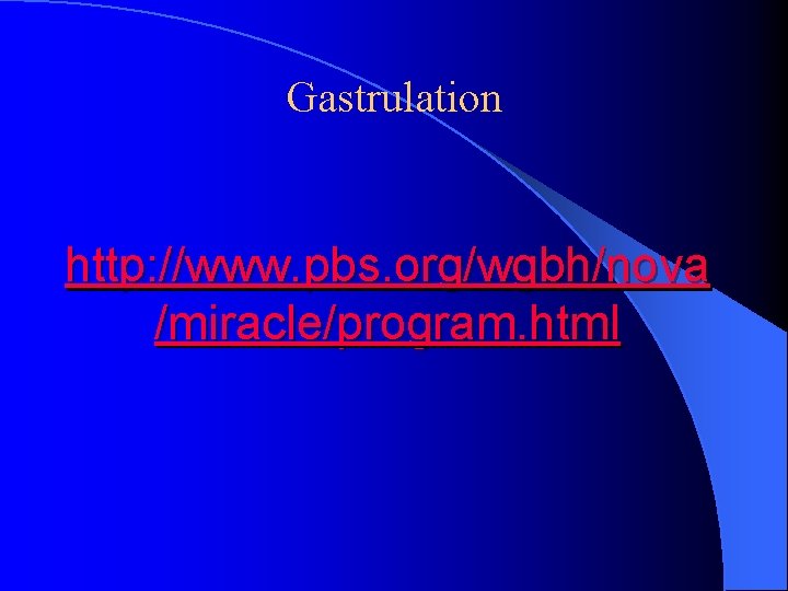 Gastrulation http: //www. pbs. org/wgbh/nova /miracle/program. html 