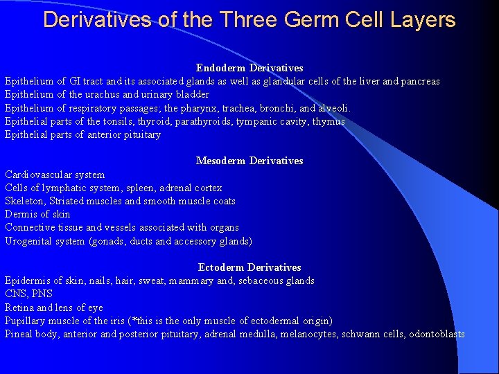 Derivatives of the Three Germ Cell Layers Endoderm Derivatives Epithelium of GI tract and