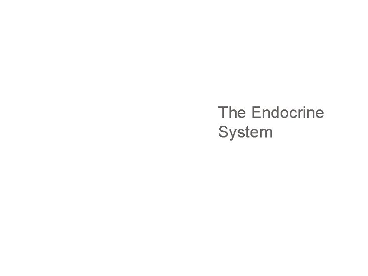 The Endocrine System 