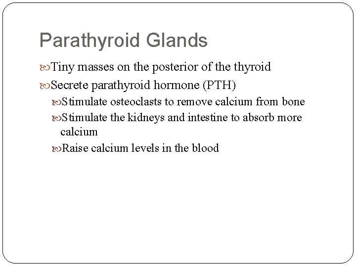 Parathyroid Glands Tiny masses on the posterior of the thyroid Secrete parathyroid hormone (PTH)