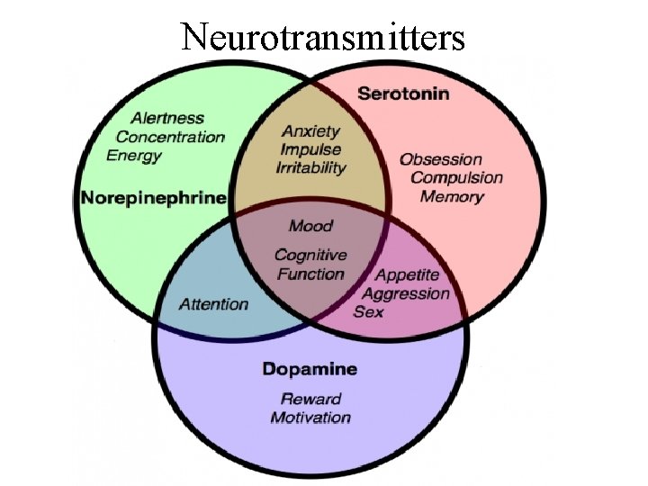 Neurotransmitters 