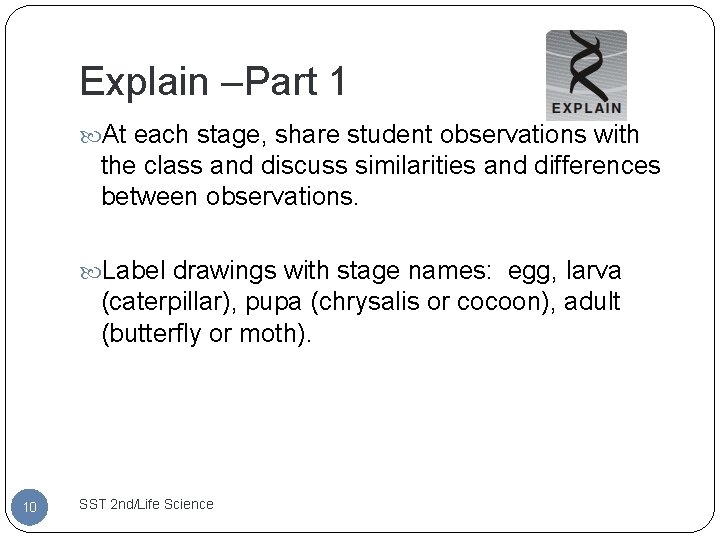 Explain –Part 1 At each stage, share student observations with the class and discuss